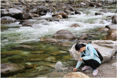 NG电子游戏·(中国区)官方网站