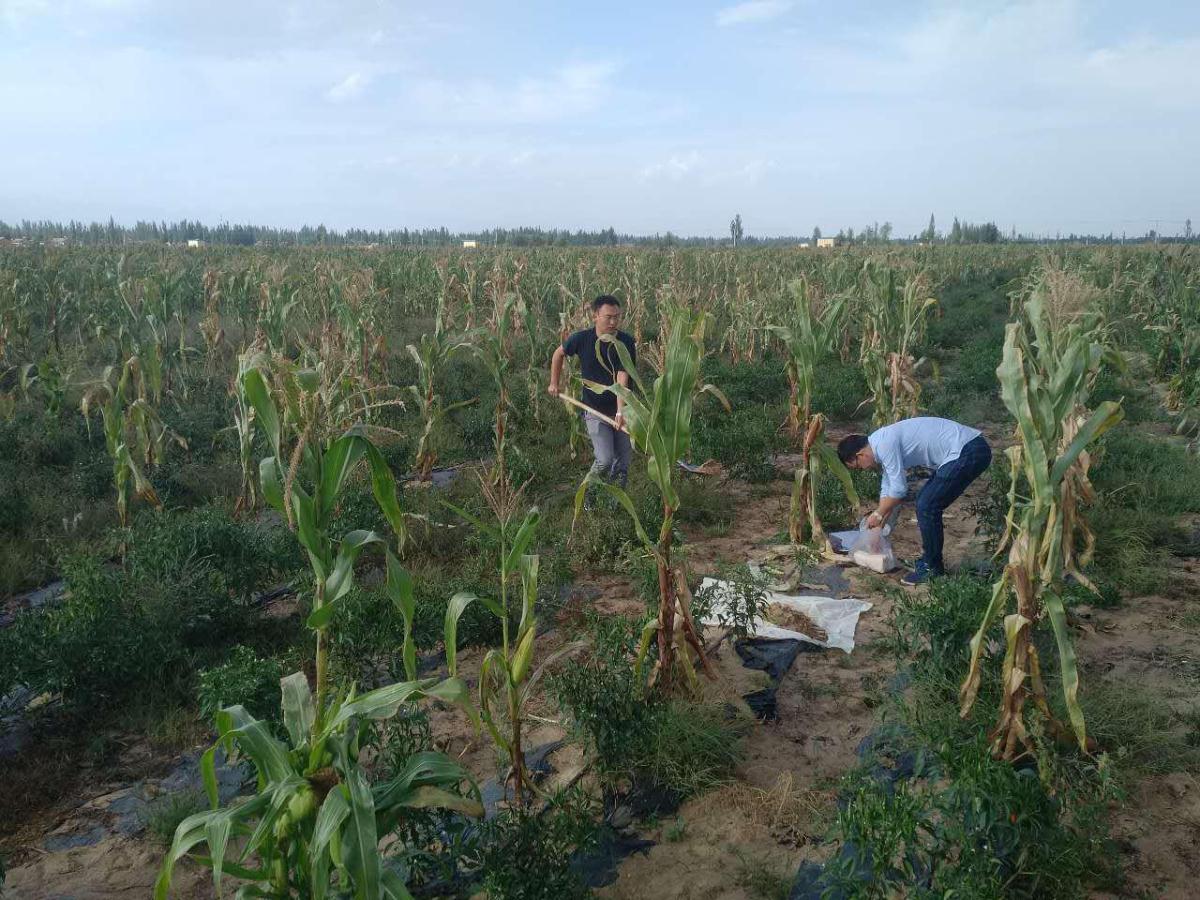 NG电子游戏·(中国区)官方网站