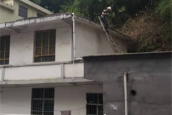 202012091556357517_248x166