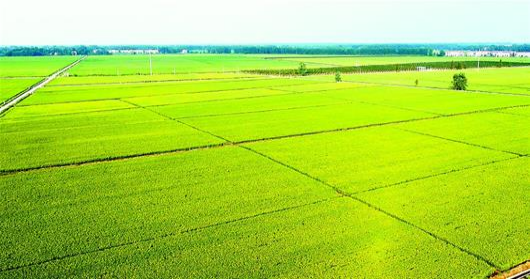 NG电子游戏·(中国区)官方网站