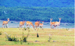 NG电子游戏·(中国区)官方网站