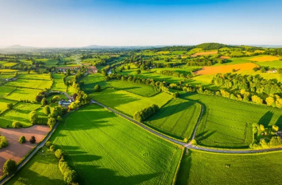 NG电子游戏·(中国区)官方网站